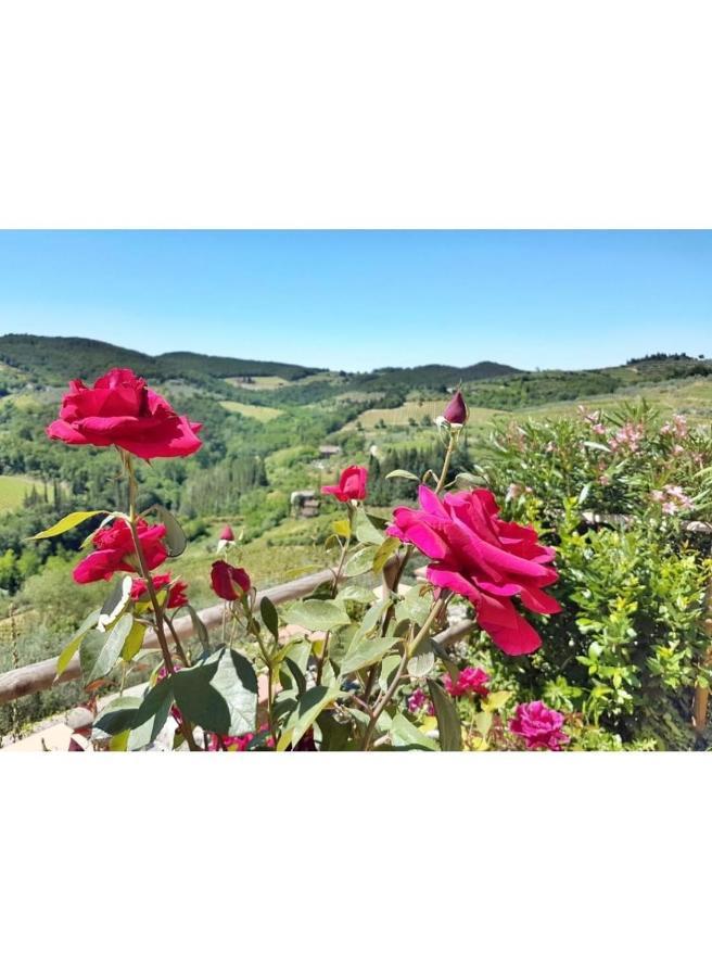 Iris Nel Borgo Apartment Greve in Chianti Bagian luar foto